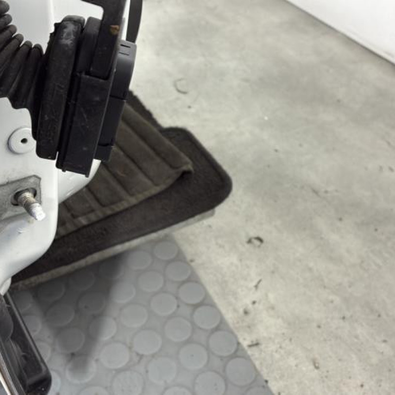 Porte avant droit RENAULT MEGANE 4 Photo n°4