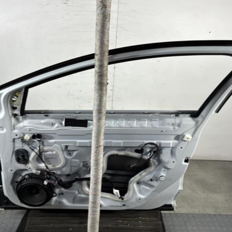 Porte avant droit RENAULT MEGANE 4 Photo n°5