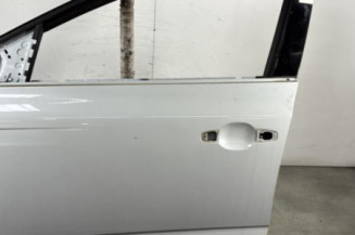 Porte avant gauche RENAULT MEGANE 4 Photo n°1