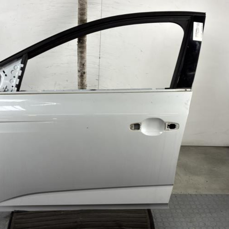 Porte avant gauche RENAULT MEGANE 4 Photo n°1