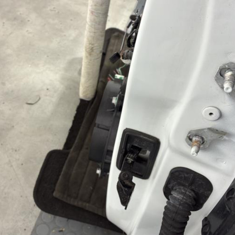 Porte avant gauche RENAULT MEGANE 4 Photo n°2