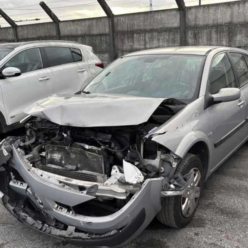 Feu arriere principal gauche (feux) RENAULT MEGANE 2 Photo n°6