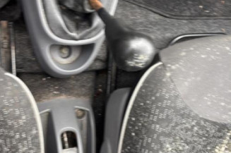 Vase de lave glace PEUGEOT 107