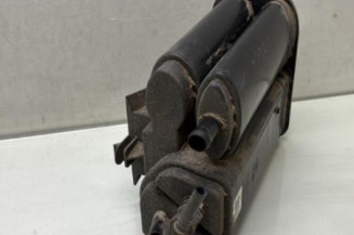 Canister RENAULT CLIO 5