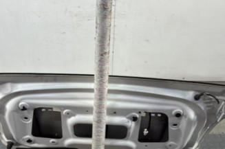 Malle/Hayon arriere FIAT 500 2