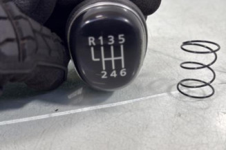 Pommeau de vitesses RENAULT MASTER 3