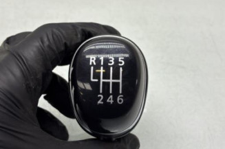 Pommeau de vitesses RENAULT KADJAR