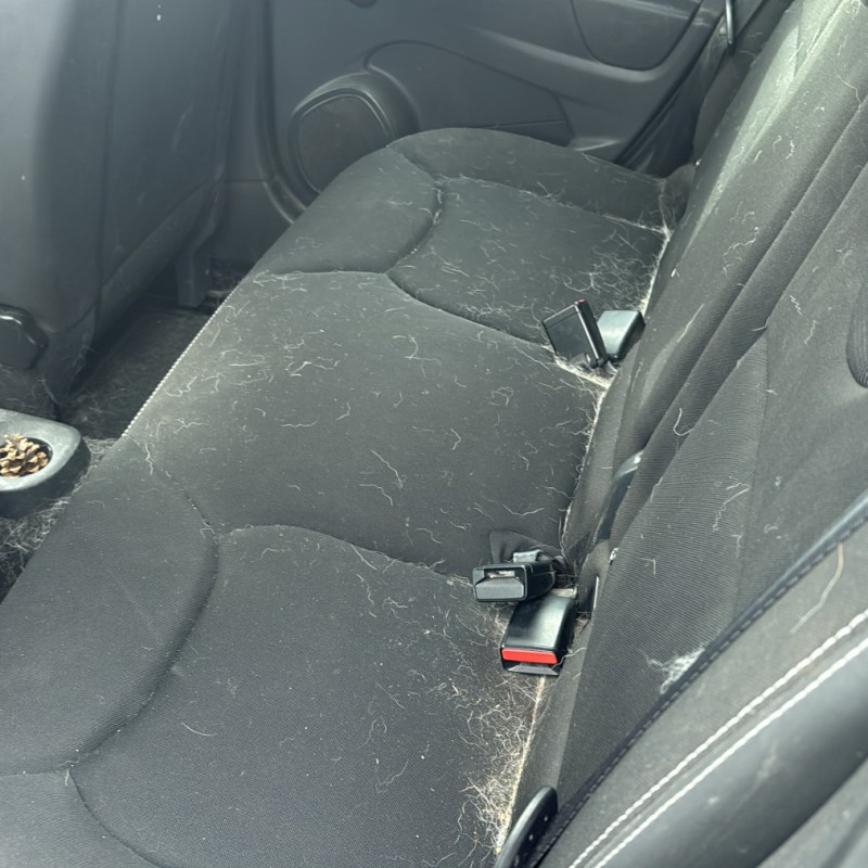 RENAULT CLIO 4 PHASE 1 1.5 DCI - 8V TURBO Photo n°24