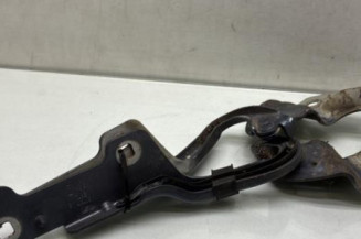 Charniere de capot RENAULT CLIO 3 Photo n°1