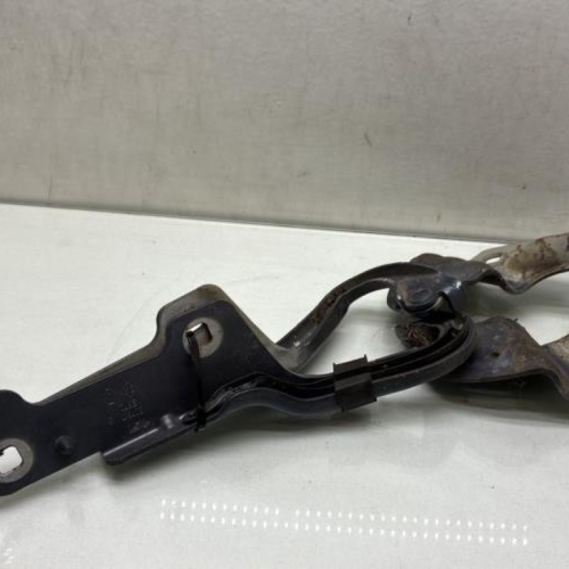 Charniere de capot RENAULT CLIO 3 Photo n°1