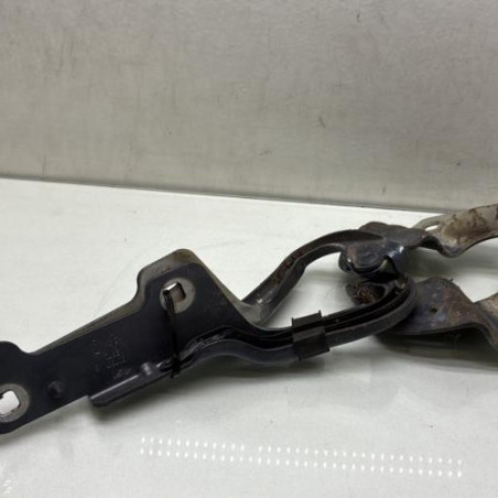 Charniere de capot RENAULT CLIO 3 Photo n°1