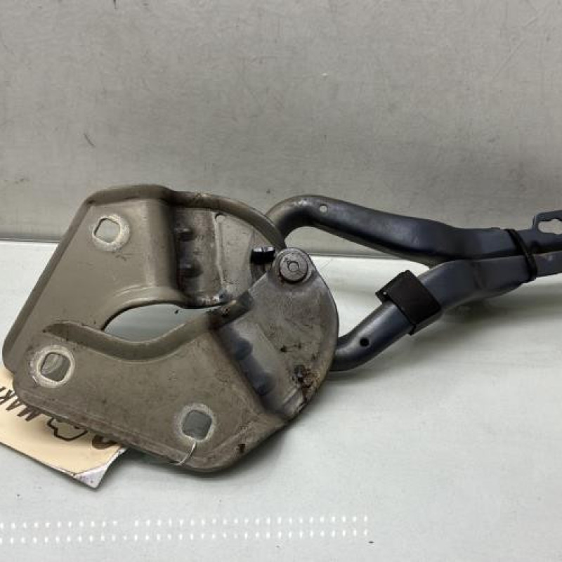 Charniere de capot RENAULT CLIO 3 Photo n°3