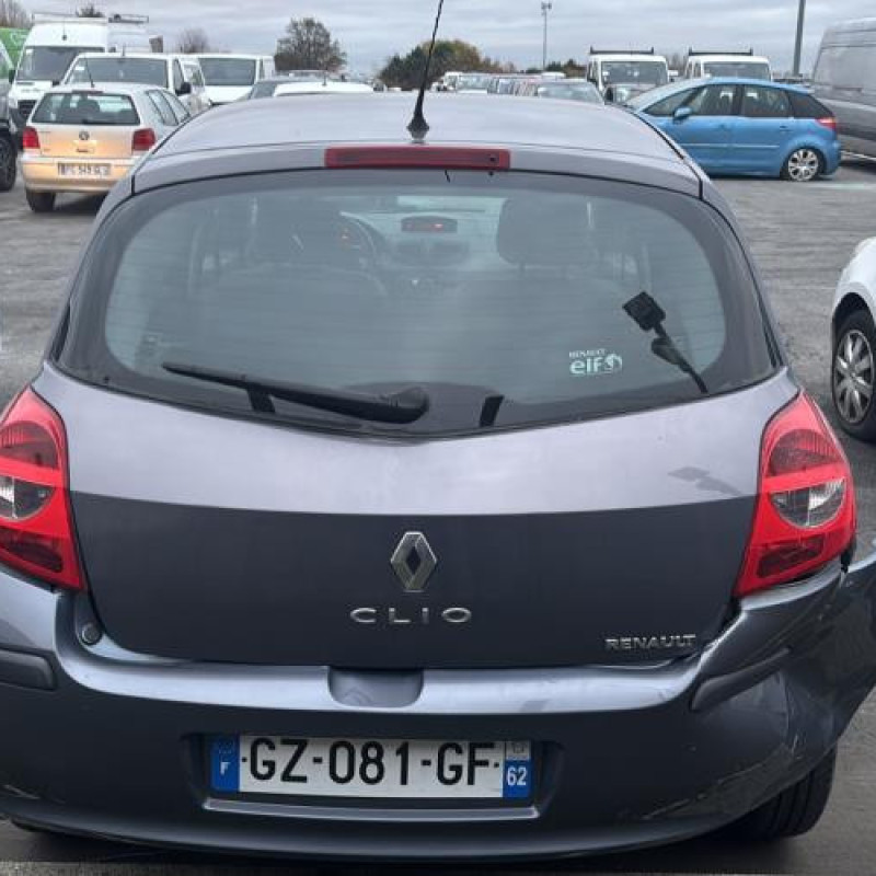 Eclairage de plaque RENAULT CLIO 3 Photo n°13