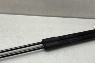 Verin de coffre RENAULT KADJAR