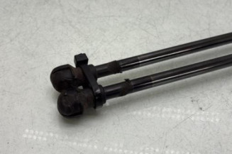 Verin de coffre RENAULT KADJAR