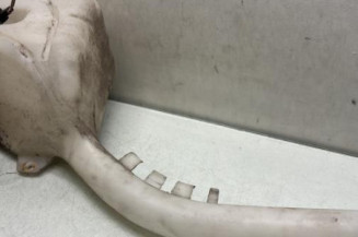 Vase de lave glace FORD FUSION Photo n°1