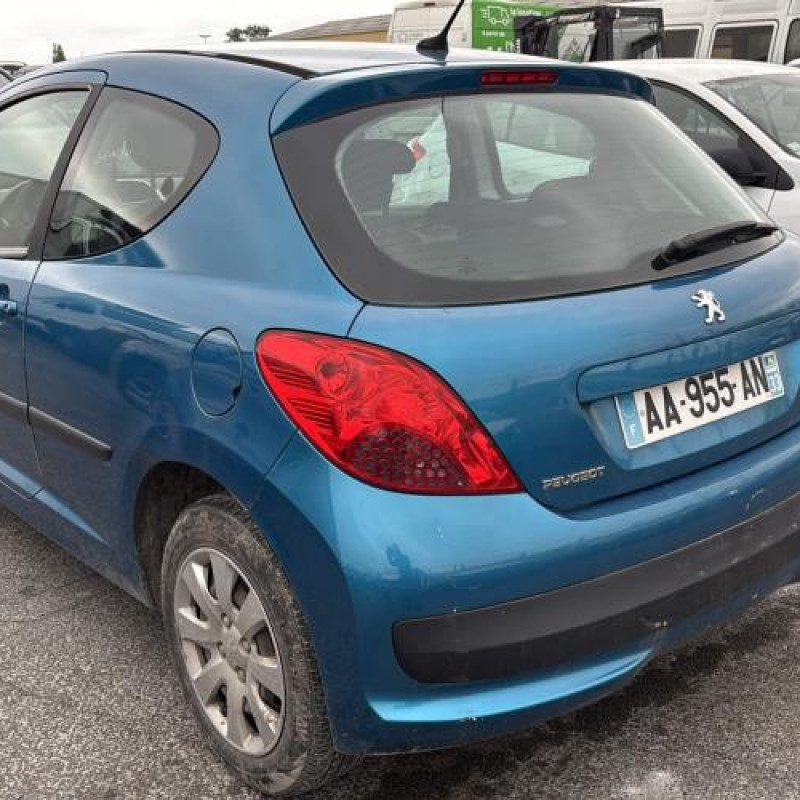 Neiman PEUGEOT 207 Photo n°18