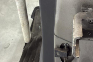 Porte arriere gauche PEUGEOT 208 1