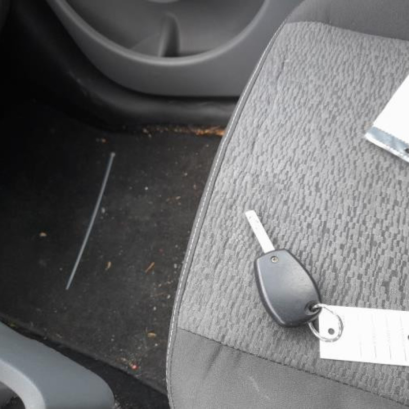 Poignee porte avant gauche RENAULT MODUS Photo n°13