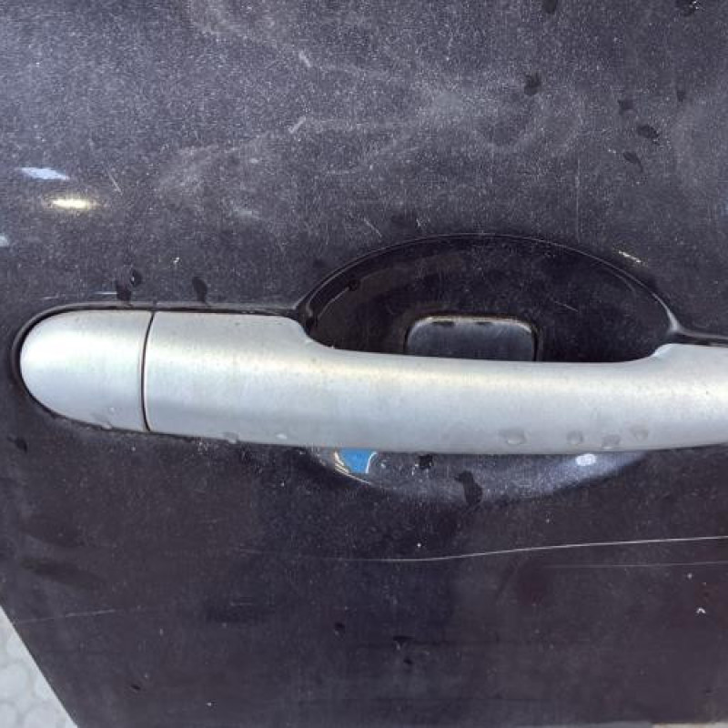 Porte avant droit RENAULT CLIO 3 Photo n°2