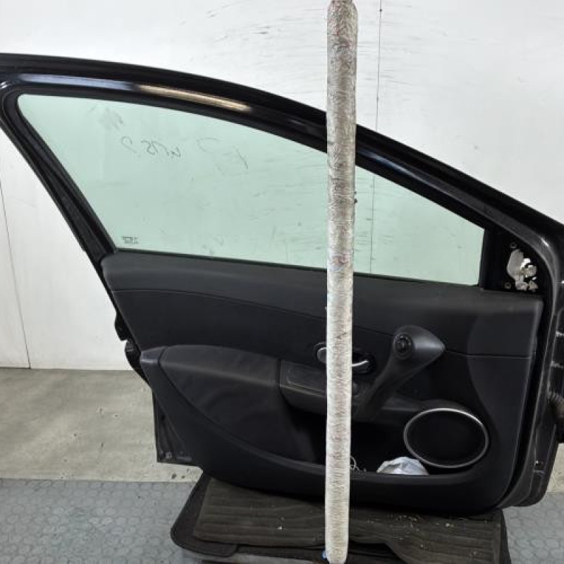 Porte avant gauche RENAULT CLIO 3 Photo n°6