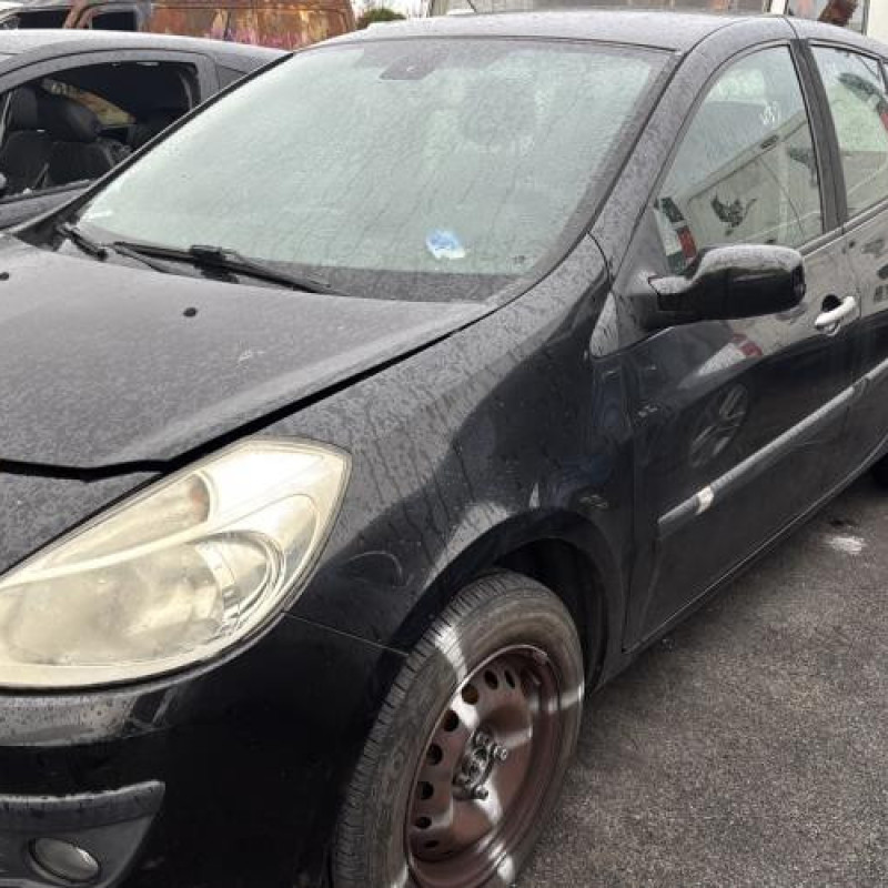 Porte avant gauche RENAULT CLIO 3 Photo n°7