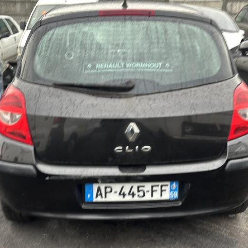 Porte avant gauche RENAULT CLIO 3 Photo n°11