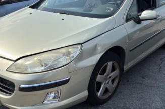 Vase de lave glace PEUGEOT 407