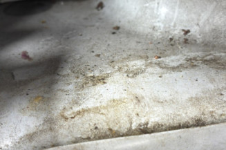 CITROEN C4 2 PHASE 2 1.2 PURETECH - 12V TURBO