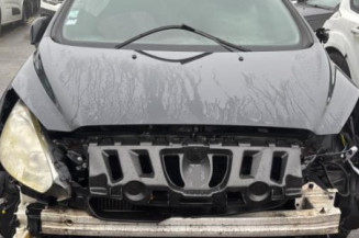 Baguette de porte avant gauche PEUGEOT 308 1