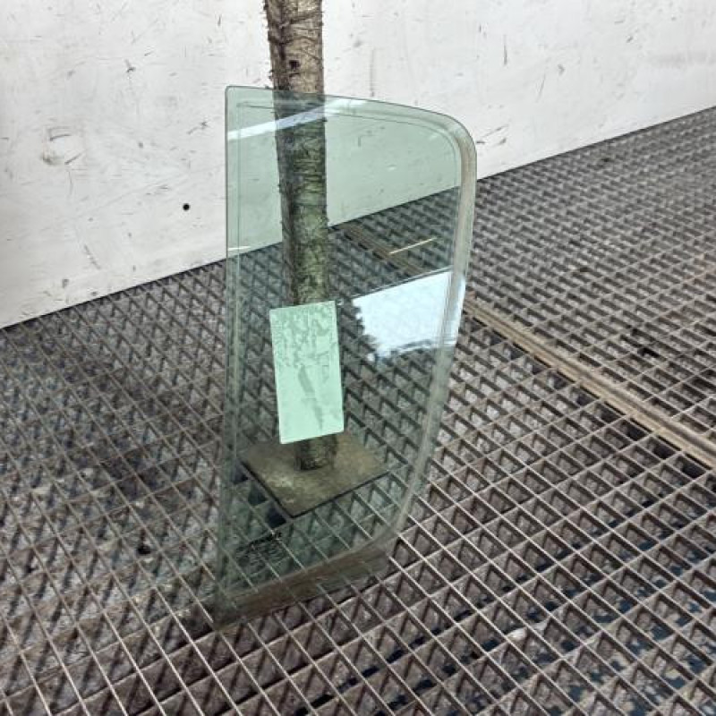 Custode arriere gauche (porte) RENAULT CLIO 3 Photo n°2