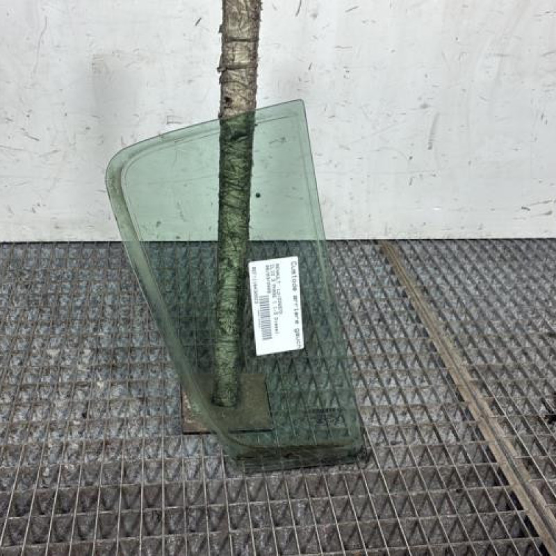 Custode arriere gauche (porte) RENAULT CLIO 3 Photo n°4