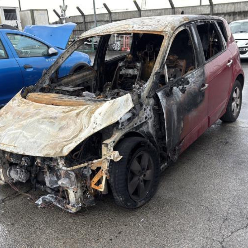 Bouton de coffre RENAULT SCENIC 3 Photo n°5