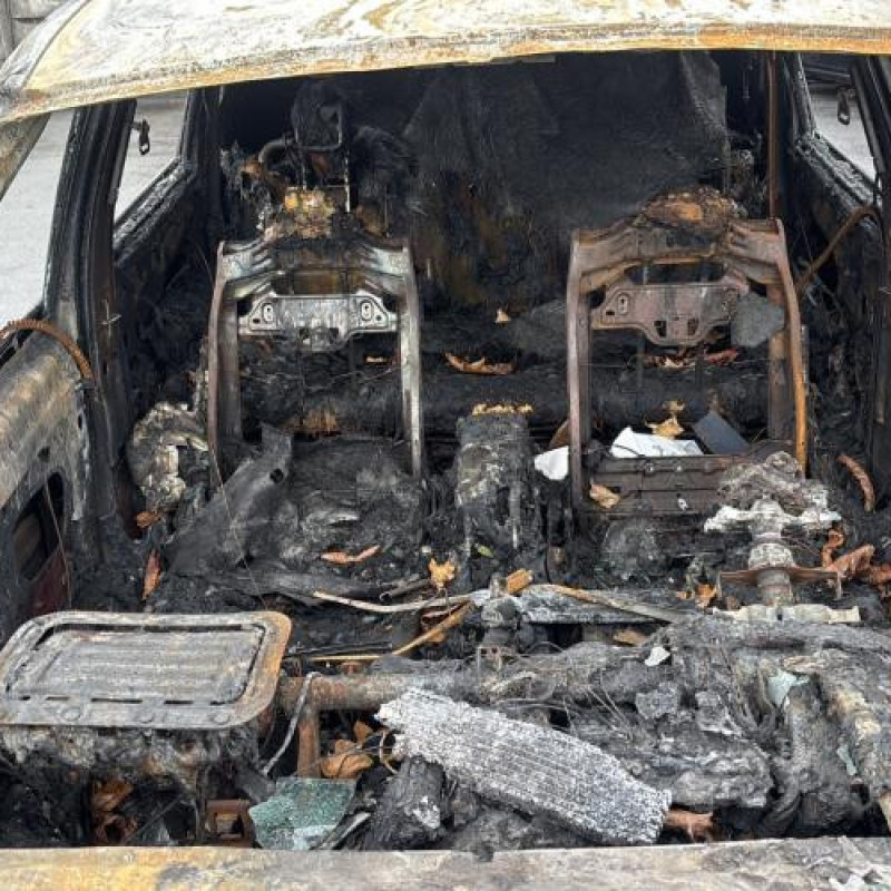 Bouton de coffre RENAULT SCENIC 3 Photo n°13