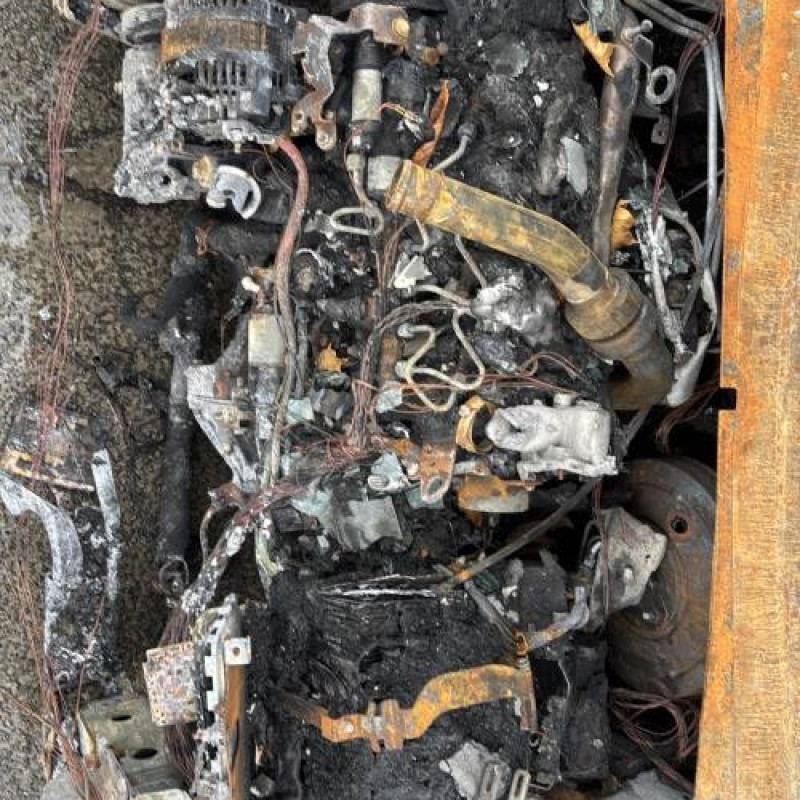 Bouton de coffre RENAULT SCENIC 3 Photo n°16