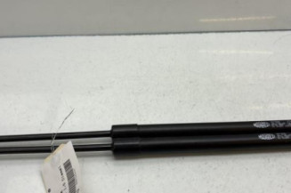 Verin de coffre RENAULT SCENIC 3 Photo n°1