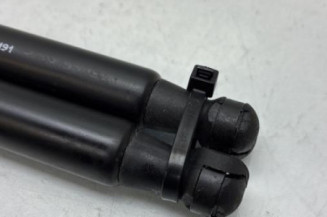 Verin de coffre RENAULT SCENIC 3