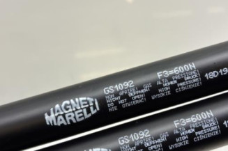 Verin de coffre RENAULT SCENIC 3