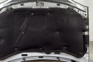 Capot VOLKSWAGEN GOLF 4