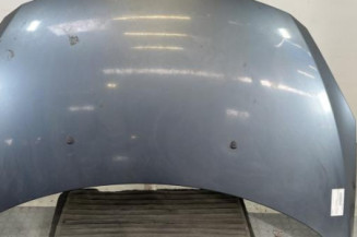 Capot PEUGEOT 307 Photo n°1