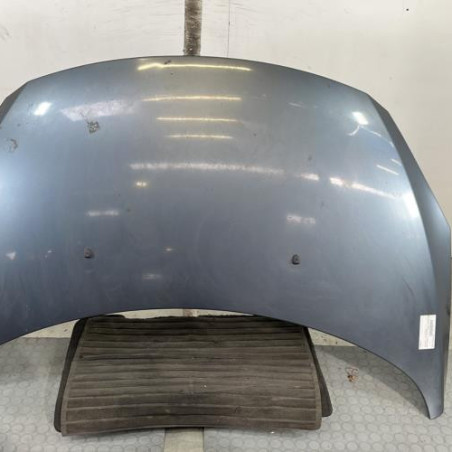 Capot PEUGEOT 307 Photo n°1