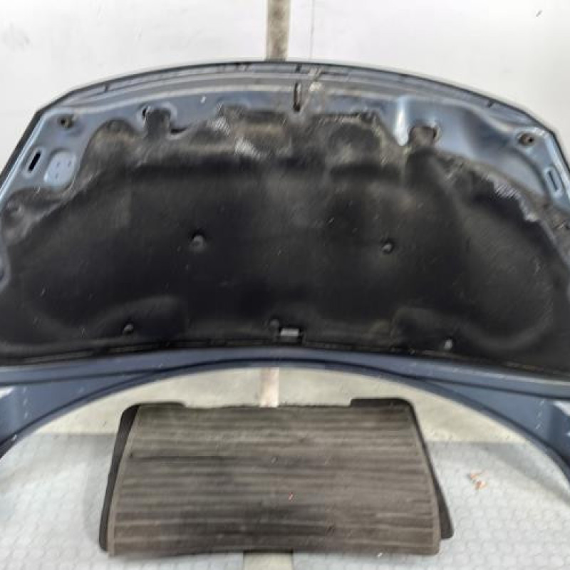 Capot PEUGEOT 307 Photo n°4