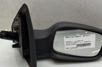 Retroviseur droit RENAULT CLIO 3 Photo n°1