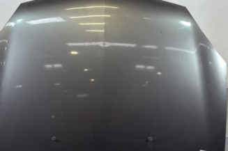 Capot RENAULT CLIO 2 Photo n°1