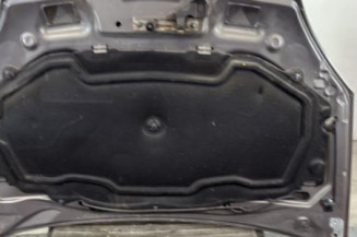 Capot RENAULT CLIO 2