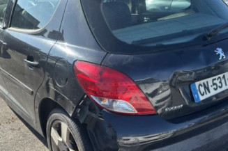 Cremaillere assistee PEUGEOT 207