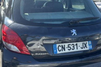 Cremaillere assistee PEUGEOT 207