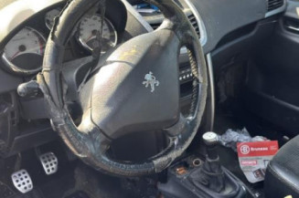 Cremaillere assistee PEUGEOT 207