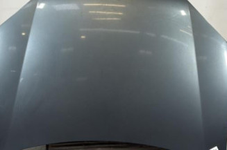 Capot VOLKSWAGEN JETTA 3 Photo n°1