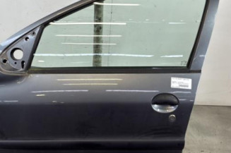 Porte avant gauche PEUGEOT 206+ Photo n°1